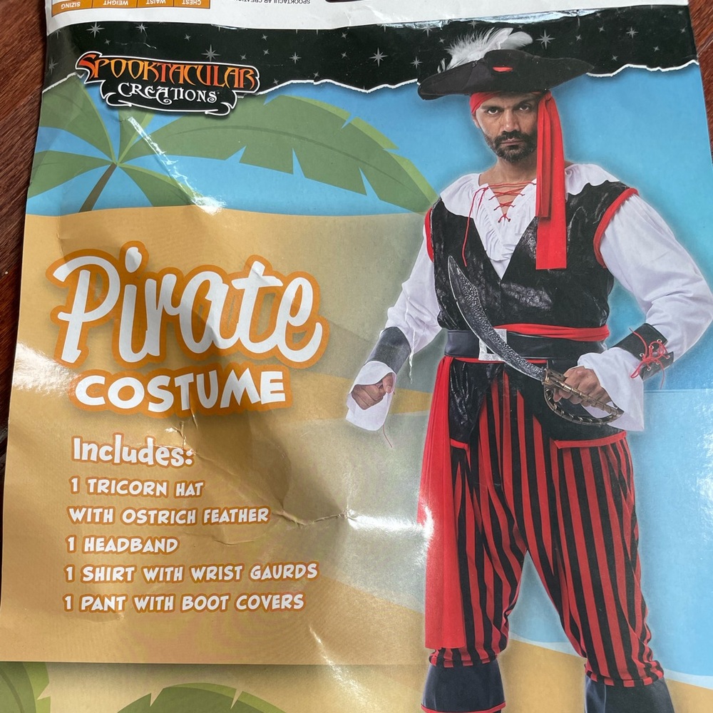 Halloween costume- pirate
